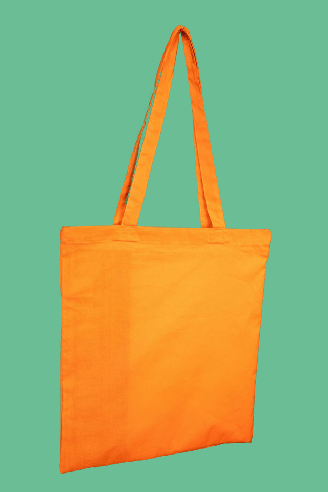 Tote-bag Renard